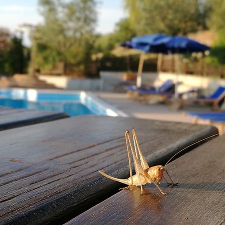 Agriturismo Cornieto Monteleone d'Orvieto Ngoại thất bức ảnh