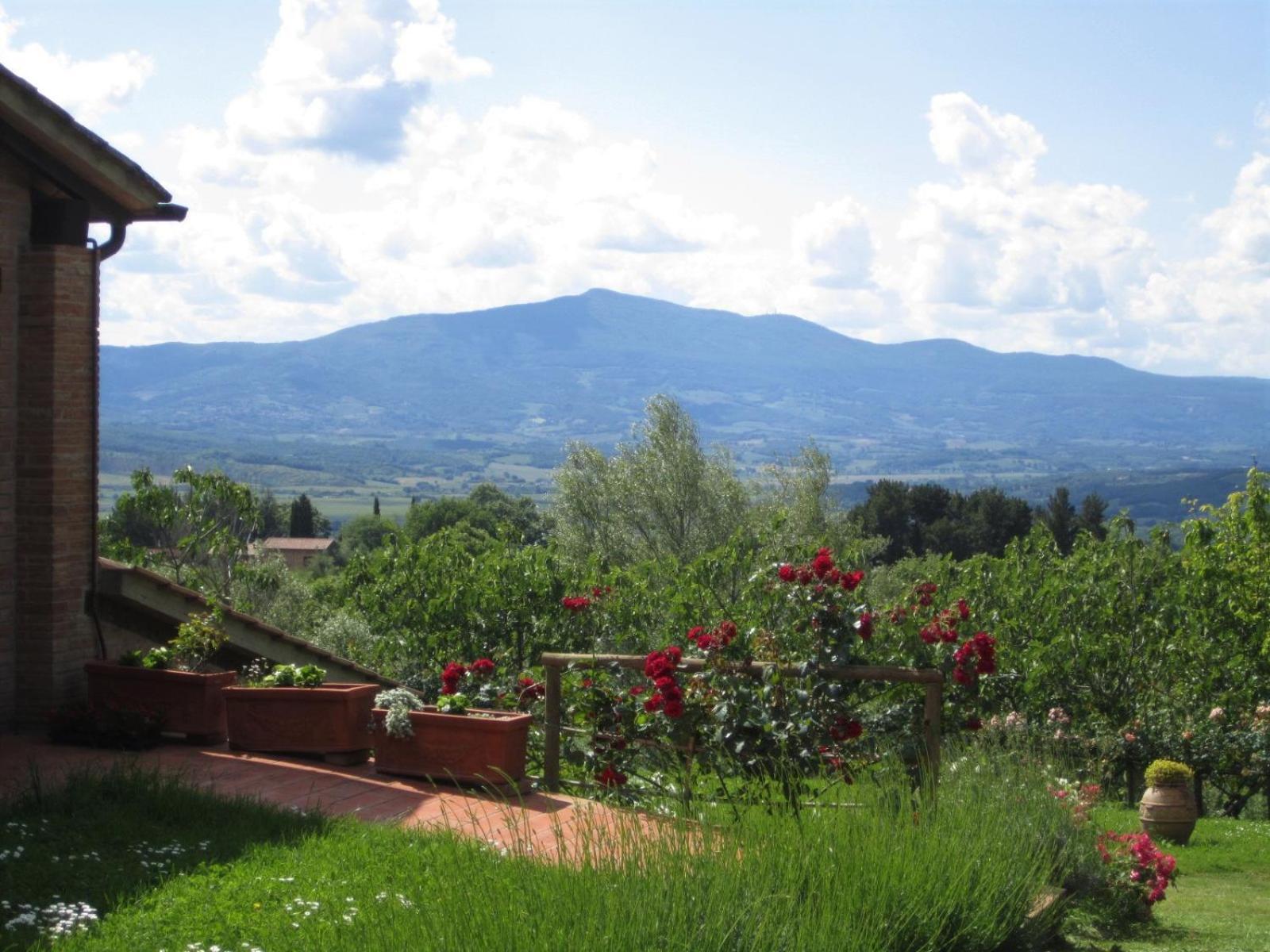 Agriturismo Cornieto Monteleone d'Orvieto Ngoại thất bức ảnh