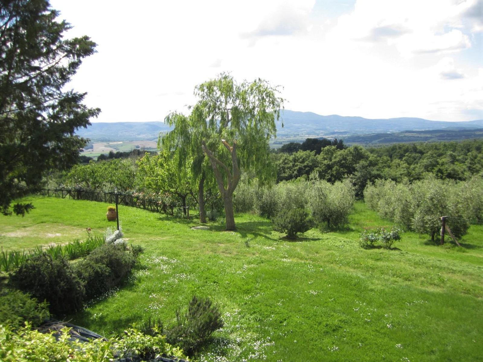 Agriturismo Cornieto Monteleone d'Orvieto Ngoại thất bức ảnh