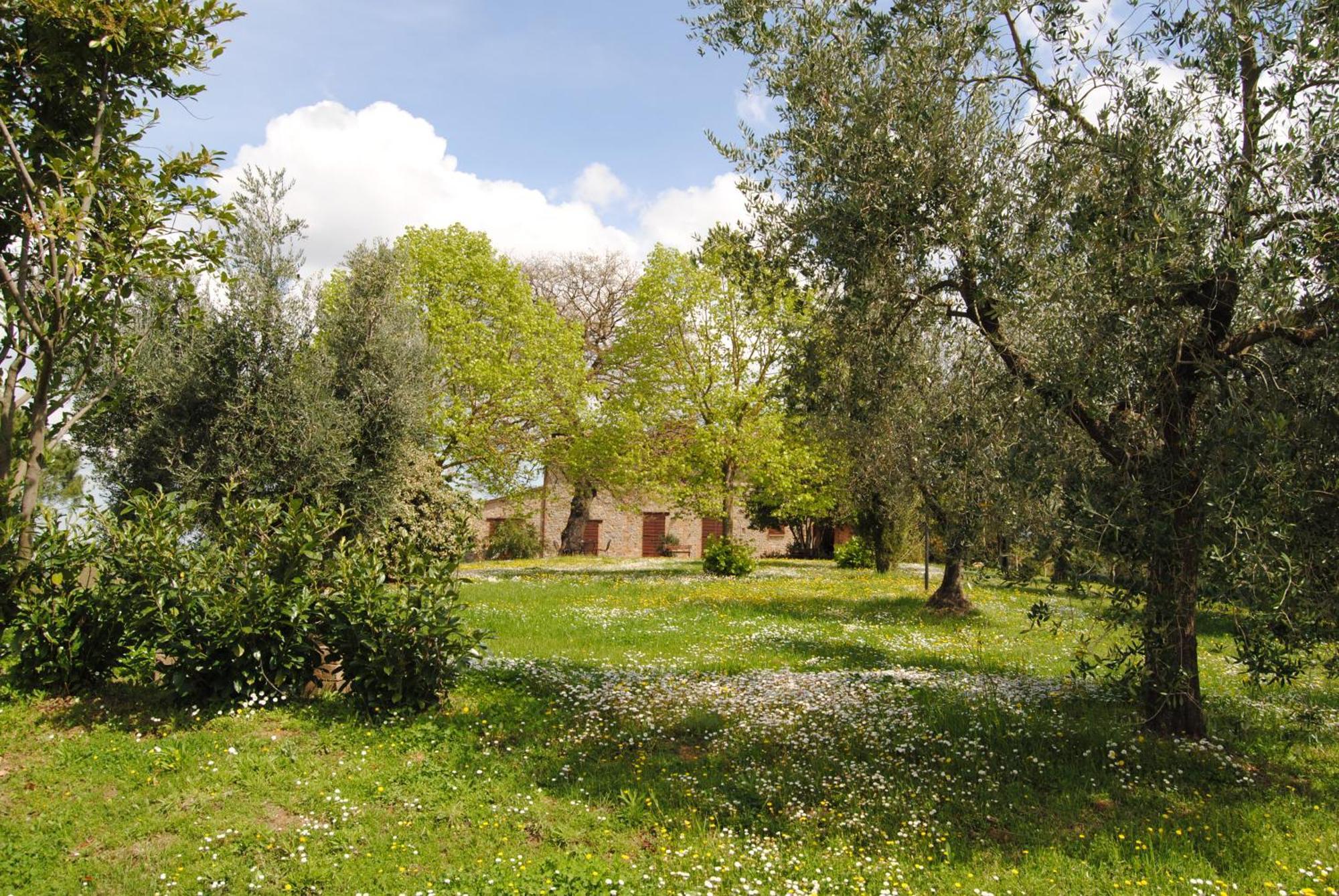 Agriturismo Cornieto Monteleone d'Orvieto Ngoại thất bức ảnh