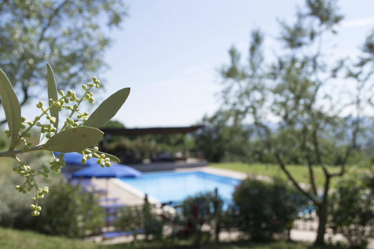 Agriturismo Cornieto Monteleone d'Orvieto Ngoại thất bức ảnh